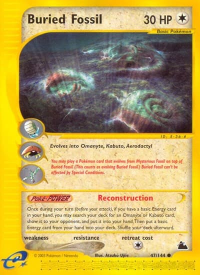 Buried Fossil (Skyridge)