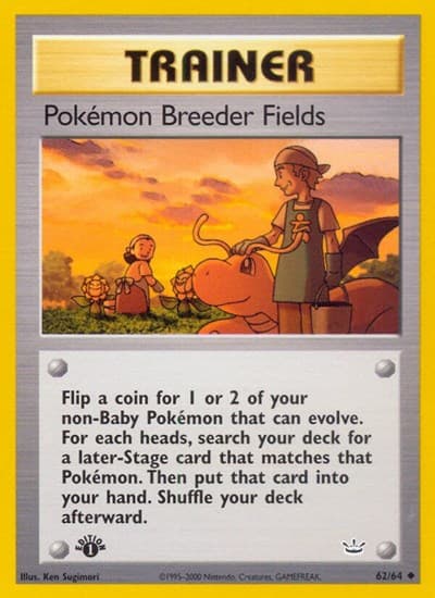 Pokémon Breeder Fields (Neo Revelation)
